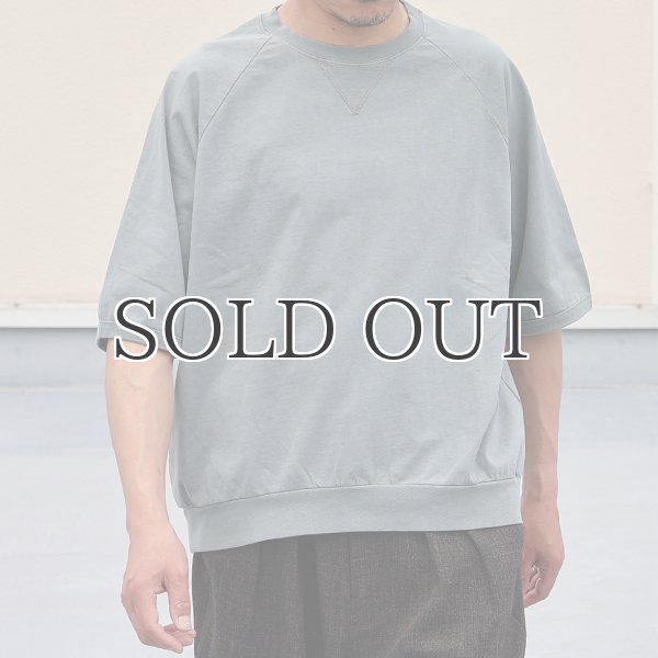 画像9: ピグメント 米綿 (USAコットン) 16/-天竺 ( 8.45オンス) ガゼットクルーネック ラグラン ハーフスリーブ バルーン Tシャツ / Audience (9)