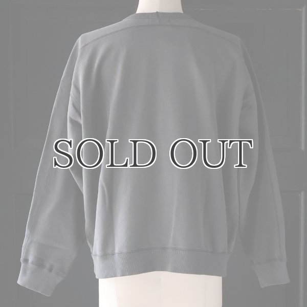 画像13: ピグメントヘビー裏起毛(14オンス)ミリタリースリーブ ガゼットクルーネック / Audience (13)