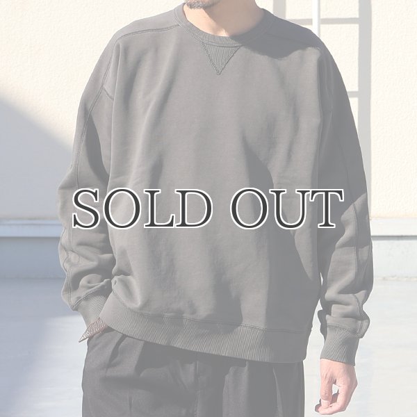 画像3: ピグメントヘビー裏起毛(14オンス)ミリタリースリーブ ガゼットクルーネック / Audience (3)