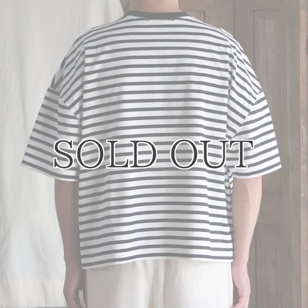画像7: VORTEX 8オンス（MVS天竺) ボーダー クルーネック ハーフスリーブ クロップドTEE【MADE IN JAPAN】『日本製』/ Upscape Audience (7)