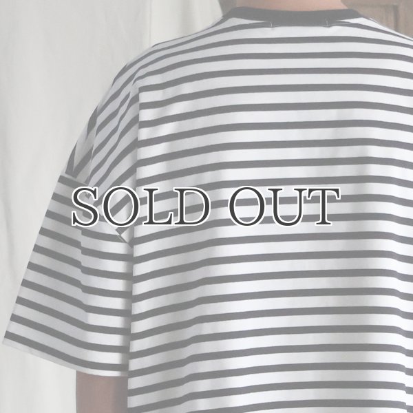 画像10: VORTEX 8オンス（MVS天竺) ボーダー クルーネック ハーフスリーブ クロップドTEE【MADE IN JAPAN】『日本製』/ Upscape Audience (10)