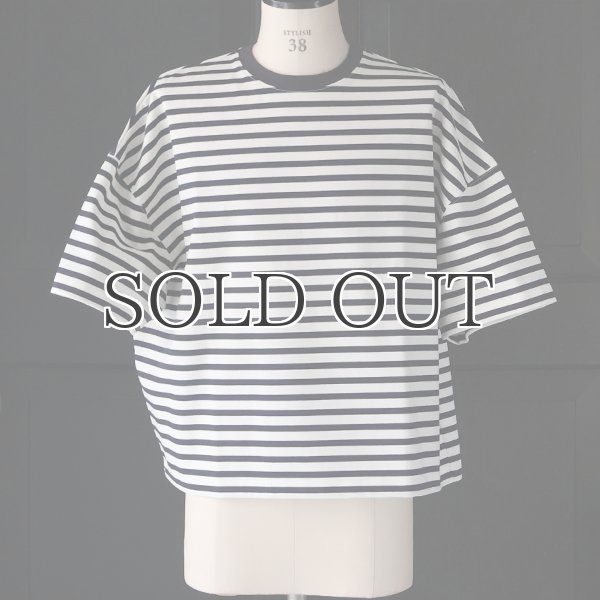 画像2: VORTEX 8オンス（MVS天竺) ボーダー クルーネック ハーフスリーブ クロップドTEE【MADE IN JAPAN】『日本製』/ Upscape Audience (2)