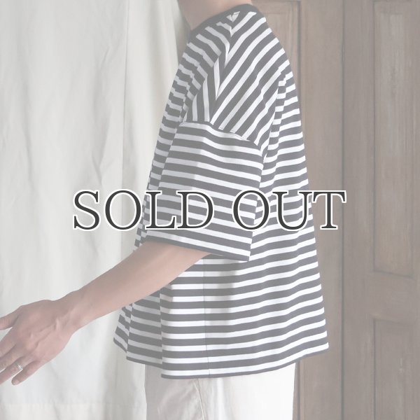 画像14: VORTEX 8オンス（MVS天竺) ボーダー クルーネック ハーフスリーブ クロップドTEE【MADE IN JAPAN】『日本製』/ Upscape Audience (14)
