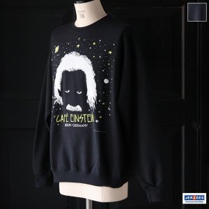 画像: JERZEES ジャージーズ(jz25f010) / "EINSTEIN(アインシュタイン)" クルーネック スウェット