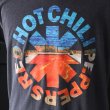 画像8: THRIFTY LOOK スリフティルック/ "RED HOT CHILI PEPPERS" TEE (8)