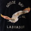 画像7: THRIFTY LOOK スリフティールック (tl25f001) /  SOUVENIR GOOSE BAY JACKET (7)