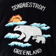 画像7: THRIFTY LOOK スリフティールック / SUNDERSTORM SOUVENIR PADDED BLOUSON (7)