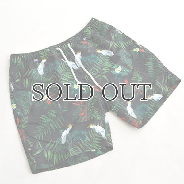 画像13: "Burleigh Night "ショーツ【送料無料】/Franks (13)