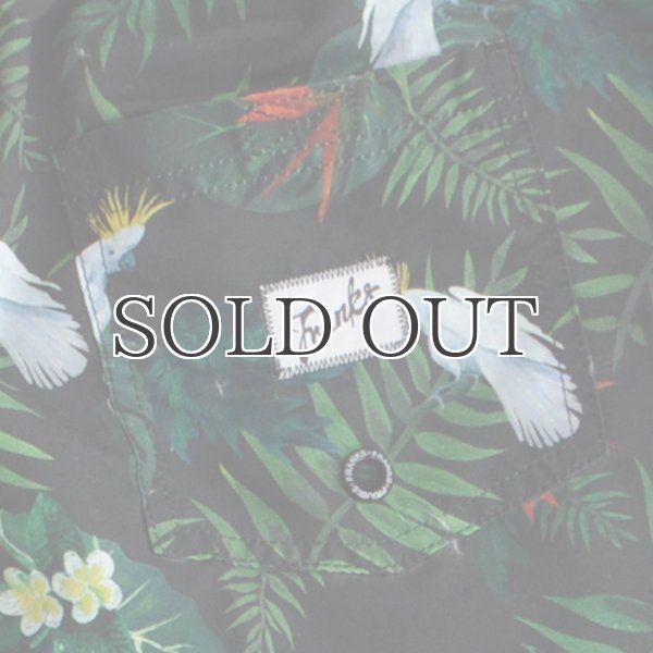 画像16: "Burleigh Night "ショーツ【送料無料】/Franks (16)