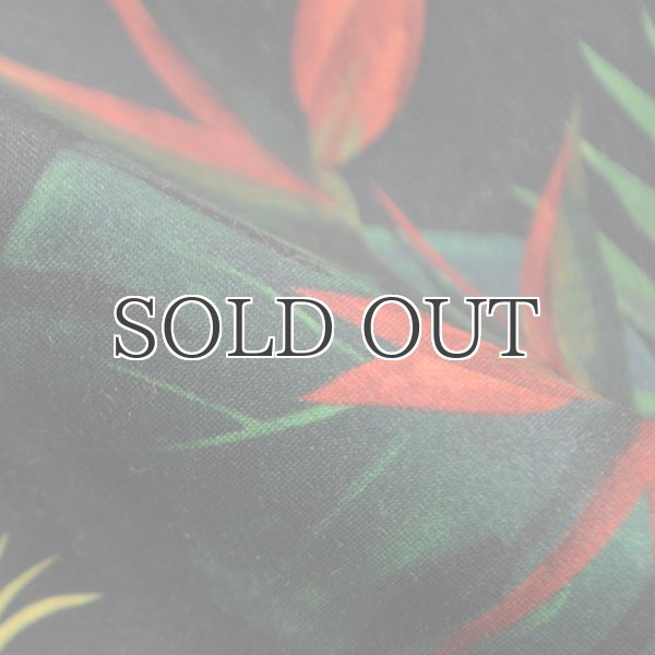 画像20: "Burleigh Night "ショーツ【送料無料】/Franks (20)