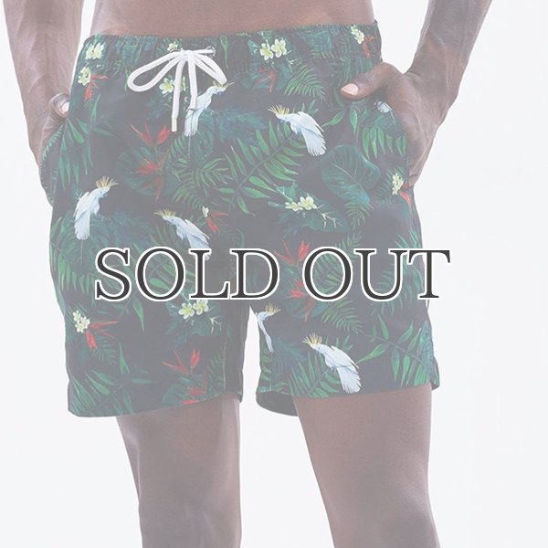 画像4: "Burleigh Night "ショーツ【送料無料】/Franks (4)