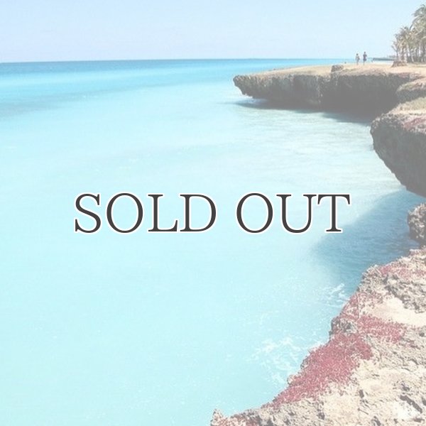 画像9: "Burleigh Night "ショーツ【送料無料】/Franks (9)