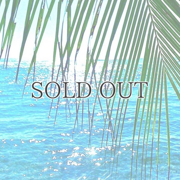 画像10: "Burleigh Night "ショーツ【送料無料】/Franks (10)