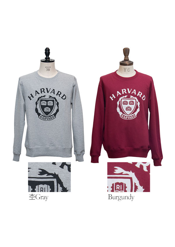 画像: HARVARD"HARVARD EMBLEM"クルーネック長袖スウェット [Lady's] / Audience