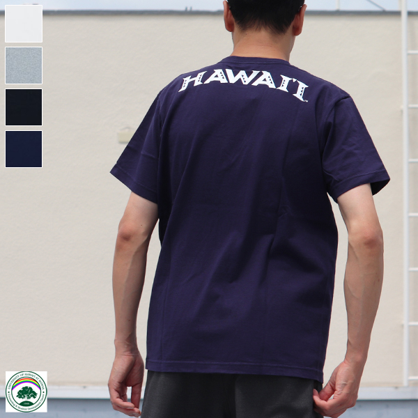 画像1: 【RE PRICE/価格改定】University of Hawaii "HAWAII" 7.1oz米綿丸胴オールドプリントクルーネックポケットT / Audience (1)