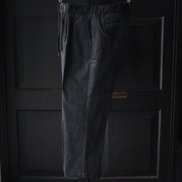 画像5: 14W (ウェル) コットンコーデュロイ 「マンチェスター」 2タック イージー ワイドパンツ【MADE IN JAPAN】『日本製』【送料無料】/ Upscape Audience (5)