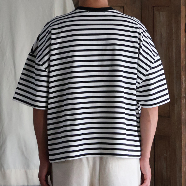 画像5: VORTEX 8オンス（MVS天竺) ボーダー クルーネック ハーフスリーブ クロップドTEE【MADE IN JAPAN】『日本製』/ Upscape Audience (5)