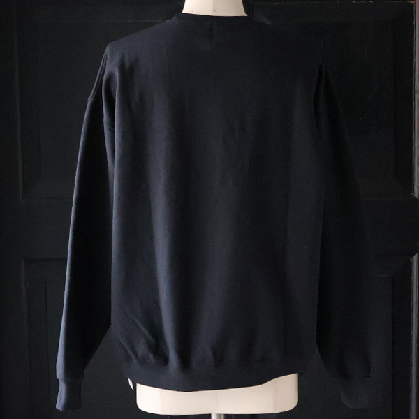 画像5: JERZEES ジャージーズ(jz25f010) / "EINSTEIN（アインシュタイン）" クルーネック スウェット (5)